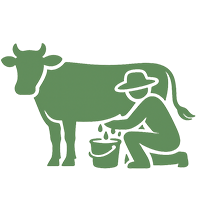 Milking